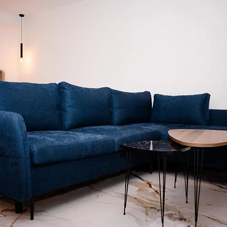 Apartment Vizija *